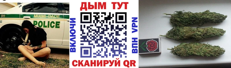 Купить  Мирный  Конопля планчик 